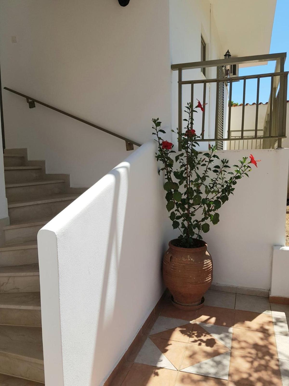 Yialos Studios Skala  Luaran gambar